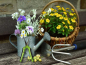Preview: Gartenschere