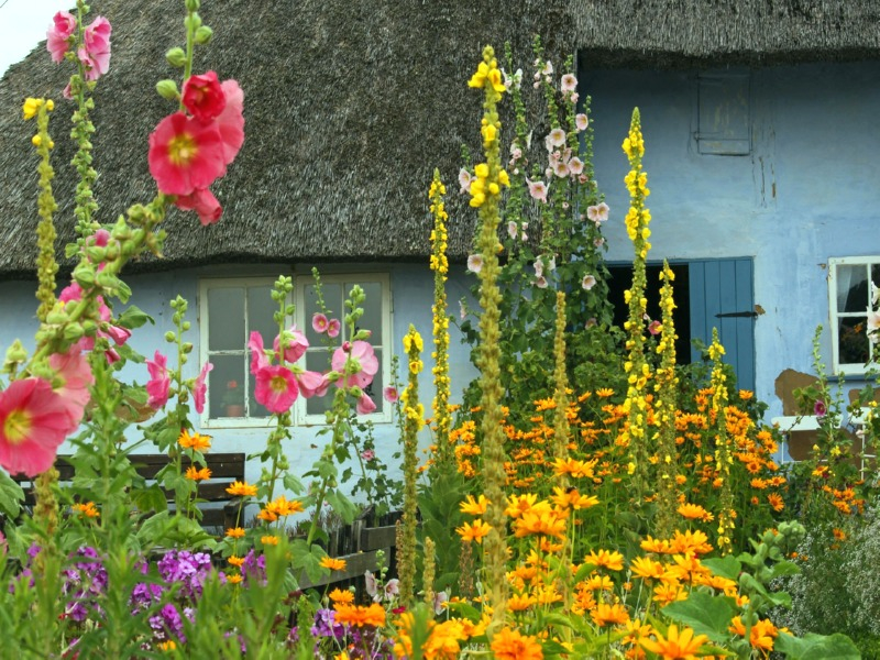 Bauerngarten