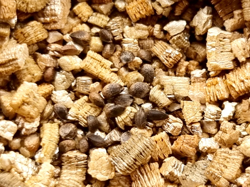 Vermiculit - Anzuchtmaterial