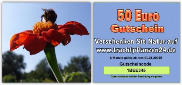 Gutschein